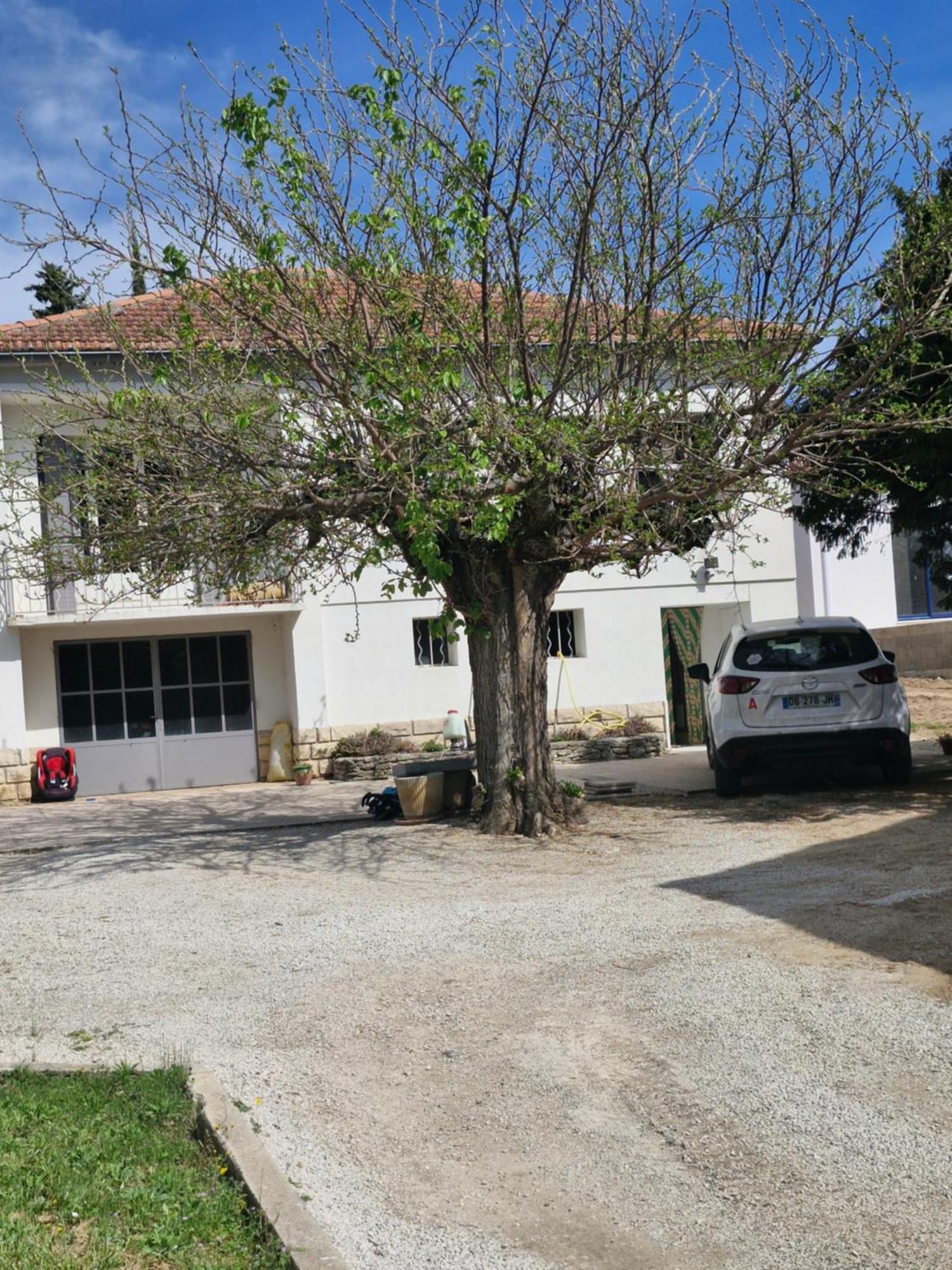 Maison Le Murier Aubignan Exterior photo